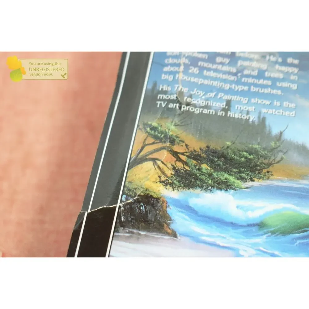 NECA Toony Classics Bob Ross 6
